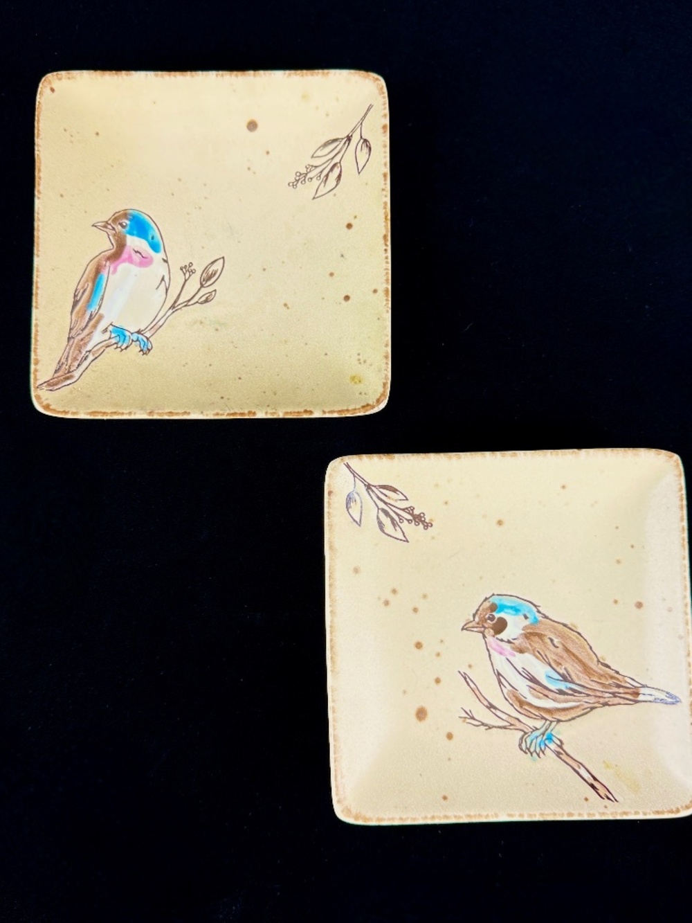 2019 Pair Spectrum Designz 5 in Square Ceramic Plates w Birds Excellent